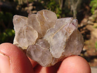 Natural Spirit Quartz Crystals x 144 From Boekenhouthoek, South Africa