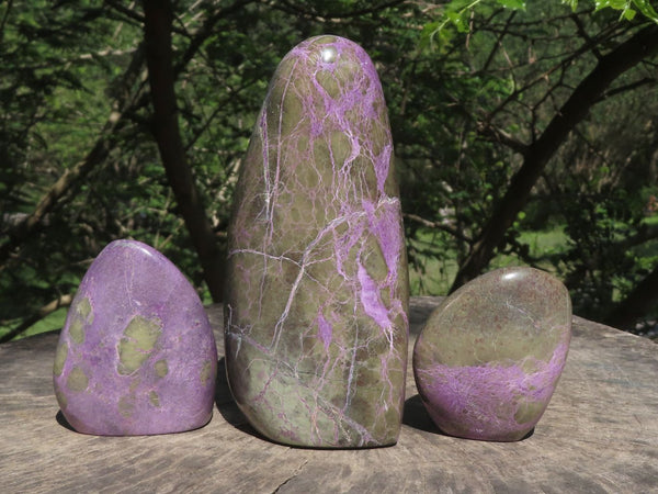 Polished Stichtite & Serpentine Standing Free Forms With Silky Purple Threads  x 3 From Barberton, South Africa - TopRock