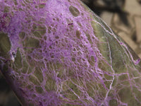 Polished Stichtite & Serpentine Standing Free Forms With Silky Purple Threads  x 3 From Barberton, South Africa - TopRock