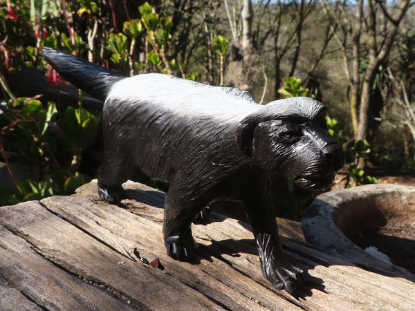 Polished  Groovy Soapstone Honey Badger Carving x 1 From Zimbabwe