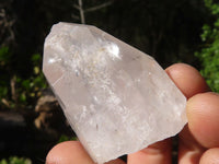 Natural Single Etched Clear Quartz Crystals  x 35 From Mpika, Zambia - Toprock Gemstones and Minerals 