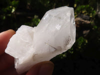 Natural Single Etched Clear Quartz Crystals  x 35 From Mpika, Zambia - Toprock Gemstones and Minerals 