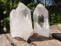 Natural Single Etched Clear Quartz Crystals  x 35 From Mpika, Zambia - Toprock Gemstones and Minerals 