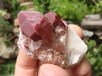 Natural Red Hematoid Quartz Specimens x 35 From Karoi, Zimbabwe - TopRock