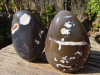 Polished Snow Agate Standing Free Forms  x 2 From Madagascar