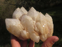 Natural Affordable Medium Sized White Quartz Clusters x 3 From Madagascar - TopRock