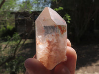 Natural Clear Intact Quartz Crystals  x 35 From Zambia - TopRock