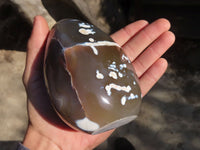 Polished Snow Agate Standing Free Forms  x 2 From Madagascar