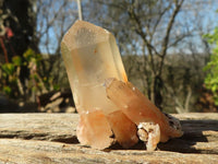 Natural Smokey Quartz Specimens With Tangerine Colouration  x 35 From Madagascar