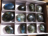 Polished  Flashy Labradorite Palm Stones  x 12 From Tulear, Madagascar