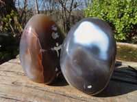 Polished Snow Agate Standing Free Forms  x 2 From Madagascar