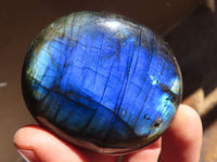 Polished  Flashy Labradorite Palm Stones  x 12 From Tulear, Madagascar