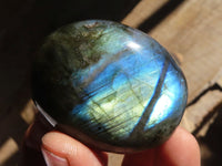 Polished  Flashy Labradorite Palm Stones  x 12 From Tulear, Madagascar