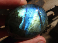 Polished  Flashy Labradorite Palm Stones  x 12 From Tulear, Madagascar