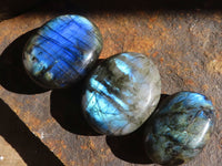 Polished  Flashy Labradorite Palm Stones  x 12 From Tulear, Madagascar