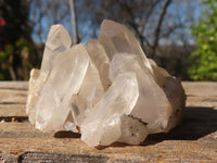 Natural Smokey Quartz Specimens With Tangerine Colouration  x 35 From Madagascar