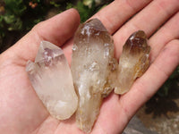 Natural Single Smokey Quartz Crystals  x 4.9 Kg Lot From Zimbabwe - TopRock