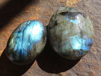 Polished  Flashy Labradorite Palm Stones  x 12 From Tulear, Madagascar