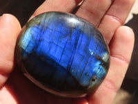 Polished  Flashy Labradorite Palm Stones  x 12 From Tulear, Madagascar