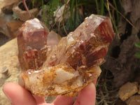 Natural Red Hematite Phantom Quartz Specimens  x 6 From Karoi, Zimbabwe - TopRock