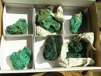 Natural Chatoyant Silky Malachite Specimens  x 6 From Congo