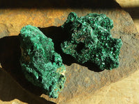 Natural Chatoyant Silky Malachite Specimens  x 6 From Congo