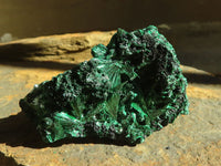 Natural Chatoyant Silky Malachite Specimens  x 6 From Congo