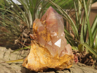 Natural Red Hematite Phantom Quartz Specimens  x 6 From Karoi, Zimbabwe - TopRock