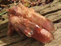 Natural Red Hematite Phantom Quartz Specimens  x 6 From Karoi, Zimbabwe - TopRock