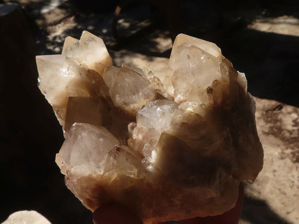 Natural Cascading Smokey Quartz Clusters x 2 From Luena, Congo