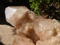 Natural Cascading Smokey Quartz Clusters x 2 From Luena, Congo