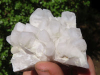 Natural White "Cathedral Window" Quartz Clusters  x 12 From Madagascar - Toprock Gemstones and Minerals 