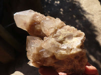 Natural Cascading Smokey Quartz Clusters x 2 From Luena, Congo