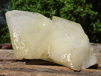 Natural White "Cathedral Window" Quartz Clusters  x 12 From Madagascar - Toprock Gemstones and Minerals 