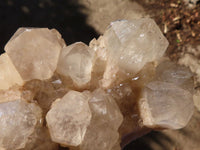 Natural Cascading Smokey Quartz Clusters x 2 From Luena, Congo