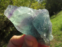 Natural Watermelon Fluorite Cobbed Specimens x 24 From Uis, Namibia - TopRock