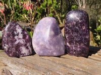 Polished Purple Lepidolite Free Forms  x 3 From Zimbabwe - Toprock Gemstones and Minerals 