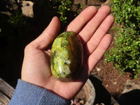 Polished  Green Opal Standing Free Form  x 6 From Antsirabe, Madagascar