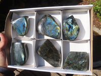 Polished Labradorite Standing Free Forms  x 6 From Tulear, Madagascar