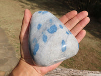 Polished Blue Spotted Spinel Dalmatian Stone Standing Free Form x 1 From Madagascar - TopRock