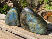 Polished Labradorite Standing Free Forms  x 6 From Tulear, Madagascar