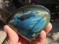 Polished Labradorite Standing Free Forms  x 6 From Tulear, Madagascar