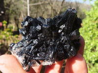 Natural Small Schorl Black Tourmaline Specimens x 35 From Erongo, Namibia