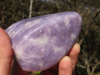 Polished Purple Lepidolite Free Forms  x 3 From Zimbabwe - Toprock Gemstones and Minerals 