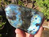 Polished Labradorite Standing Free Forms  x 6 From Tulear, Madagascar