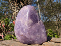 Polished Purple Lepidolite Free Forms  x 3 From Zimbabwe - Toprock Gemstones and Minerals 