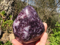 Polished Purple Lepidolite Free Forms  x 3 From Zimbabwe - Toprock Gemstones and Minerals 