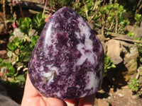 Polished Purple Lepidolite Free Forms  x 3 From Zimbabwe - Toprock Gemstones and Minerals 