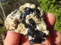 Natural Small Schorl Black Tourmaline Specimens x 35 From Erongo, Namibia