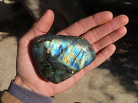 Polished Labradorite Standing Free Forms  x 6 From Tulear, Madagascar